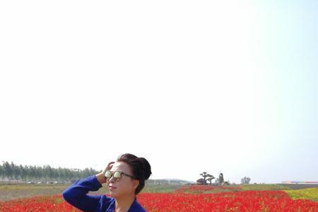 东丰花海几月份开花