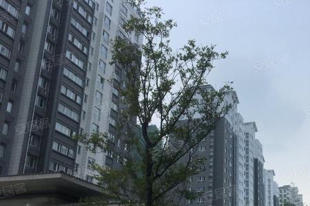 徐州未来城属于哪个区