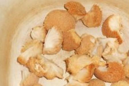 蘑菇炖出来有苦味正常吗