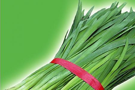 韭菜什么时候平茬