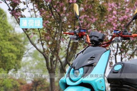 bws路虎电摩怎么样