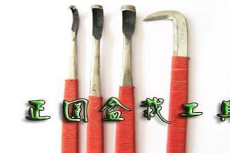 红色吸血刀怎么合