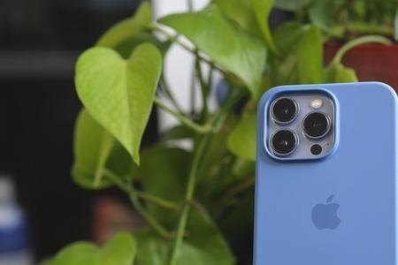 iphone13pro新机怎么下载不了