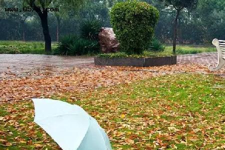 别离秋雨后结局