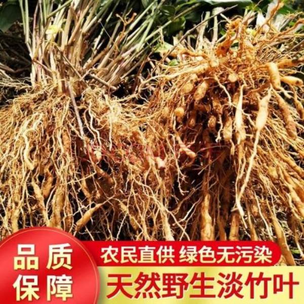 福建适合懒人种的药材