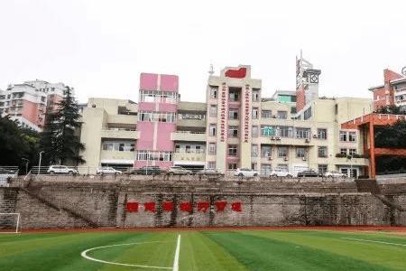 内江翔龙中学校徽