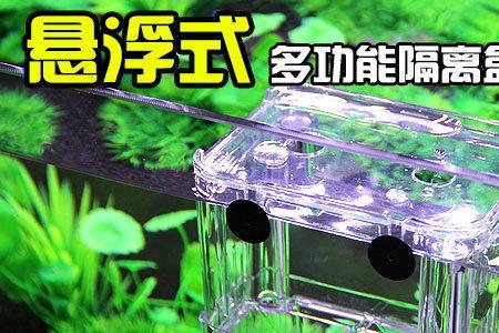 隔离盒放在鱼缸什么位置