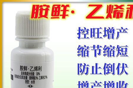 乙烯利安鲜脂在玉米上使用方法