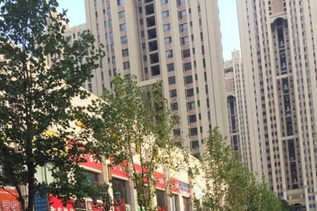 石家庄鼎坚市场都卖什么