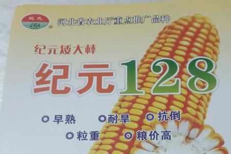 陕西关中高产玉米种