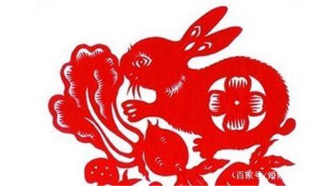 兔前兔后虎气凶。是什么生肖