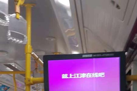 江津区公交何时恢复501公交车