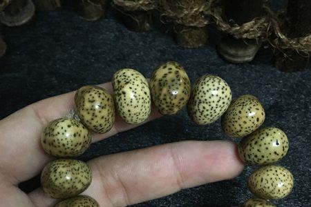 菩提阴皮跟染色的区别