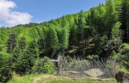 郴州仰天湖民宿怎么样