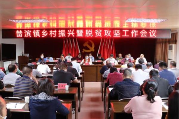实施乡村振兴哪次会议提出的