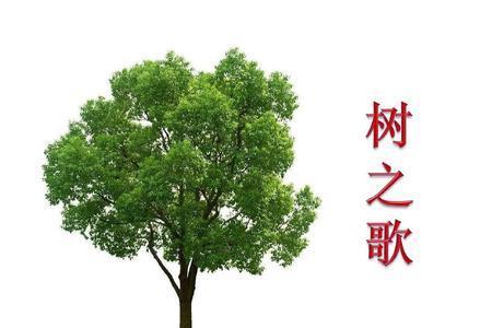 树之歌里哪两种中植物不怕严寒