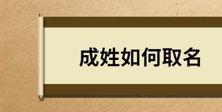 成姓总人口多少