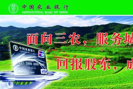 三农服务乡镇是什么意思