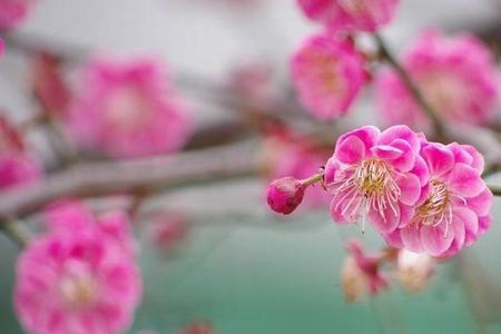堪然而至的意思