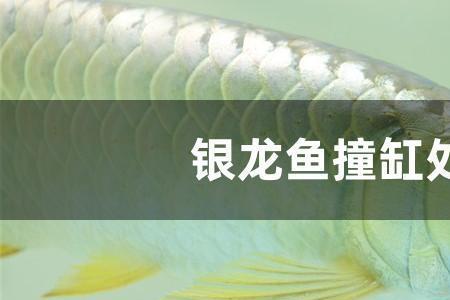 马口撞缸怎么办