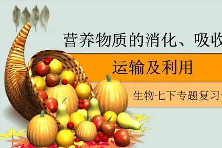 三大物质吸收的特点