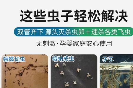 家里有潮虫有什么办法能灭了它