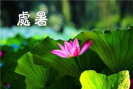 处暑节气当天好钓鱼吗