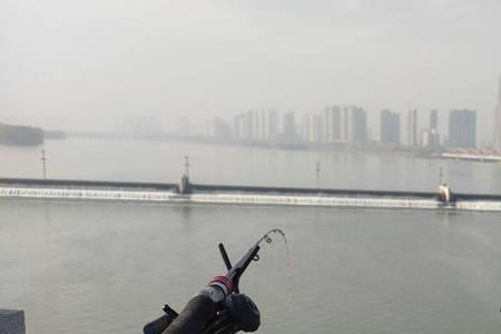 三门峡涧河钓鱼的地方