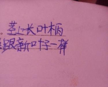 久久难忘是不是成语