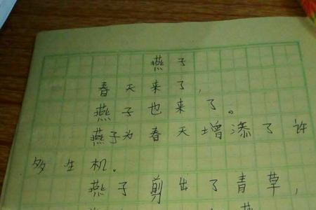 春天树枝上长出了新叶子仿写句