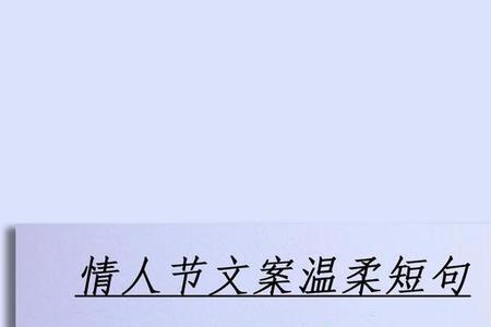 第五个情人节文案