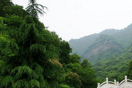 舞钢佛爷岭公园有门票吗