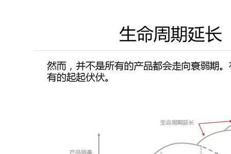 产品生命周期最短的是什么产品