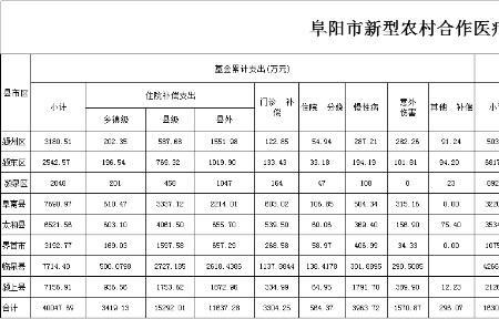 医疗保险历史缴费汇总表怎么搞