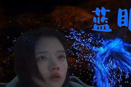 蓝眼泪这首歌想表达什么意思