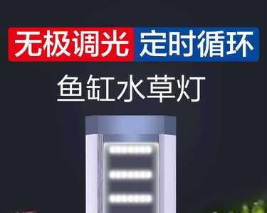 nec鱼缸灯能爆藻吗