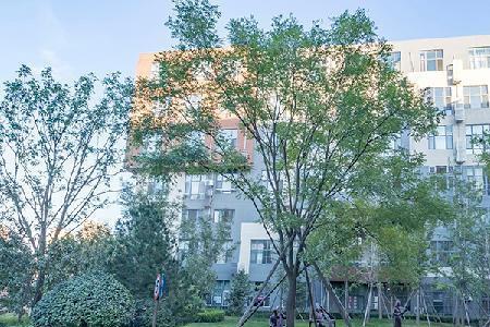 金隅自由筑为什么房子便宜