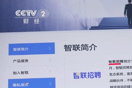 云智聘如何应聘