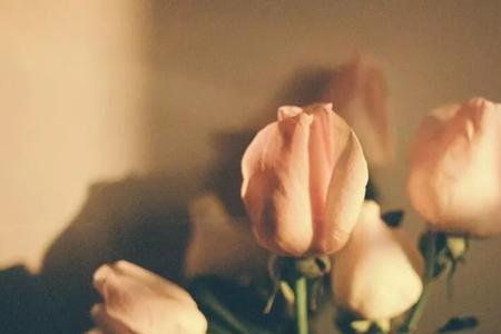 事不说不明，理不辩不清的句子