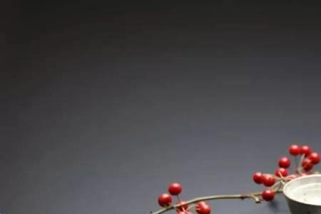 别人皆醉我独醒啥意思