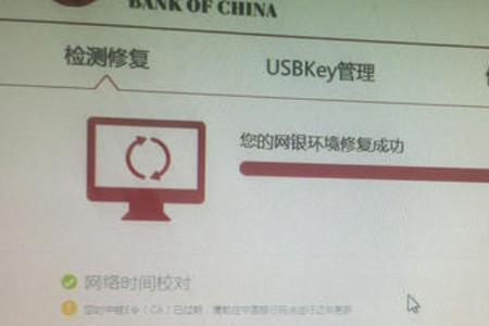 中行企业网银是用u盾还是口令卡