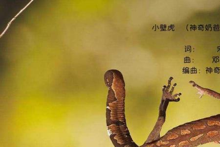 壁虎属于什么类型的动物啊