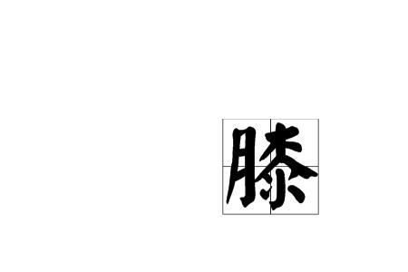 什么的膝上填恰当的词语