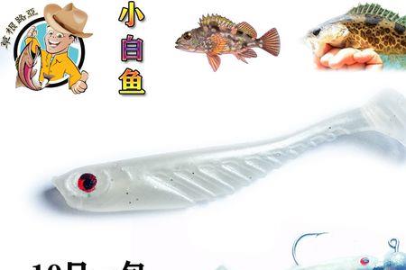 钓小白鱼，用什么诱饵