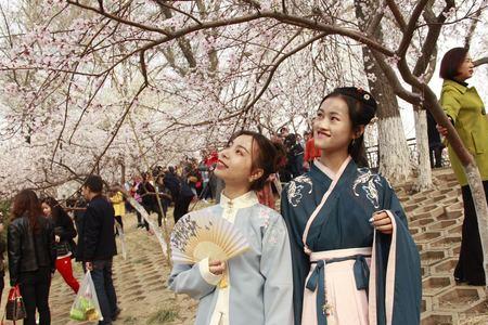 天津桃花园在什么地方