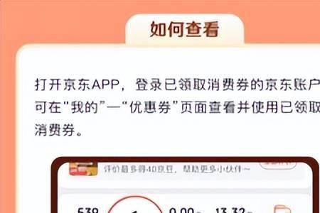 汽车消费券怎么在京东里使用