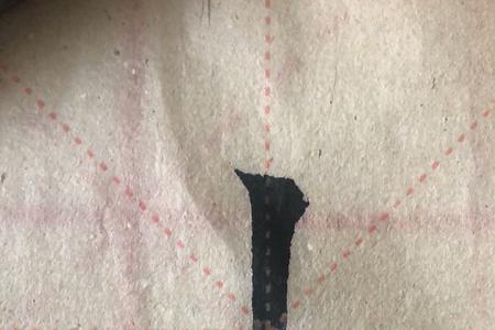 垂立什么意思