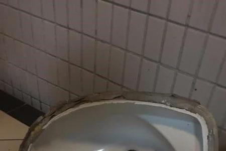 卫生间洗手盆缝隙有小虫怎么办