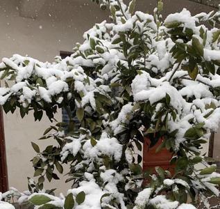 什么的白雪填空