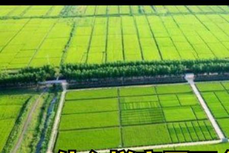 铁皮屋可以确权吗